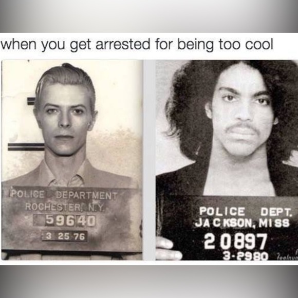 Meet your Ambassador II Posher, Megan - Picture 5 of 15